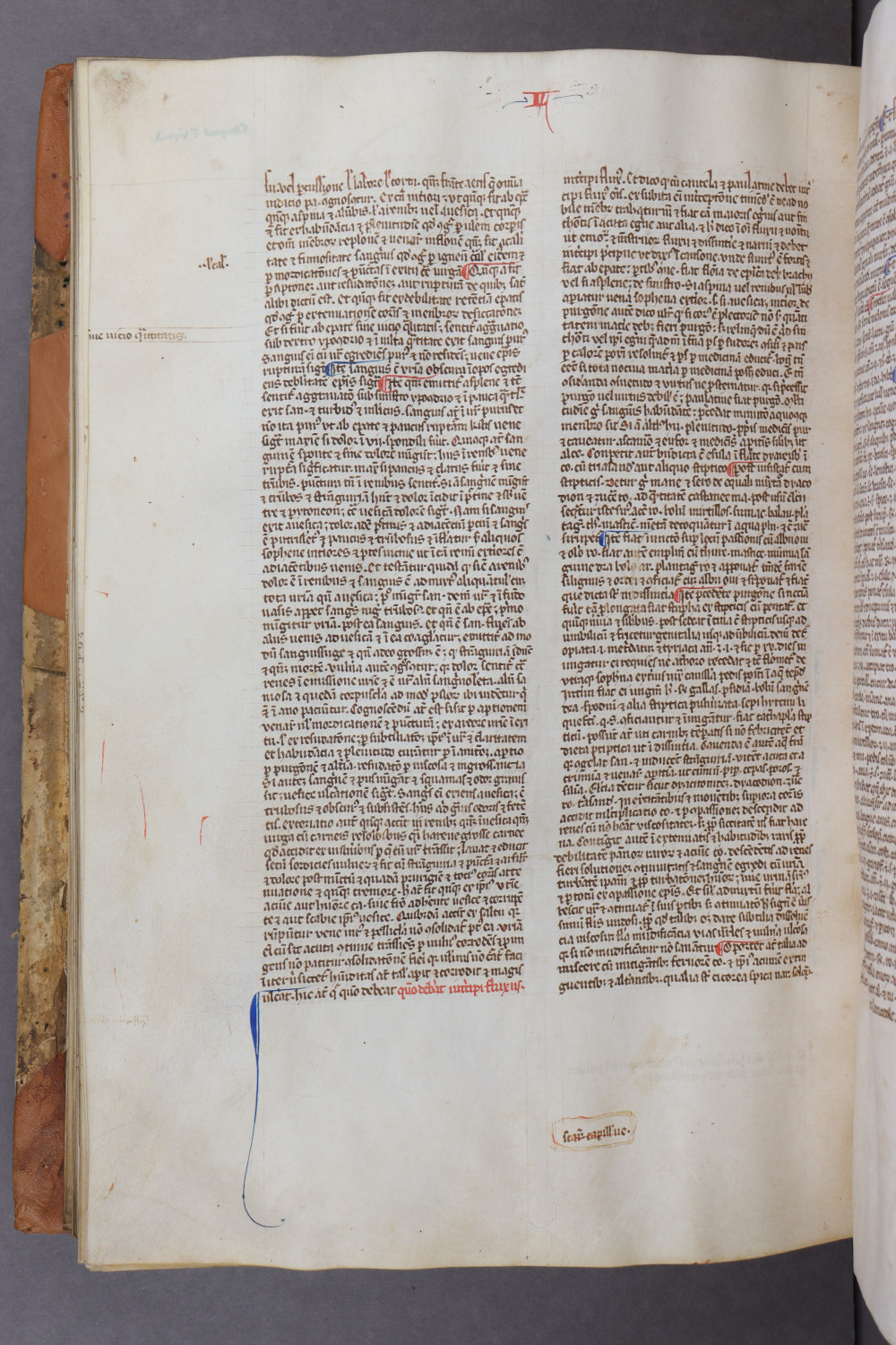 Folio 127 verso